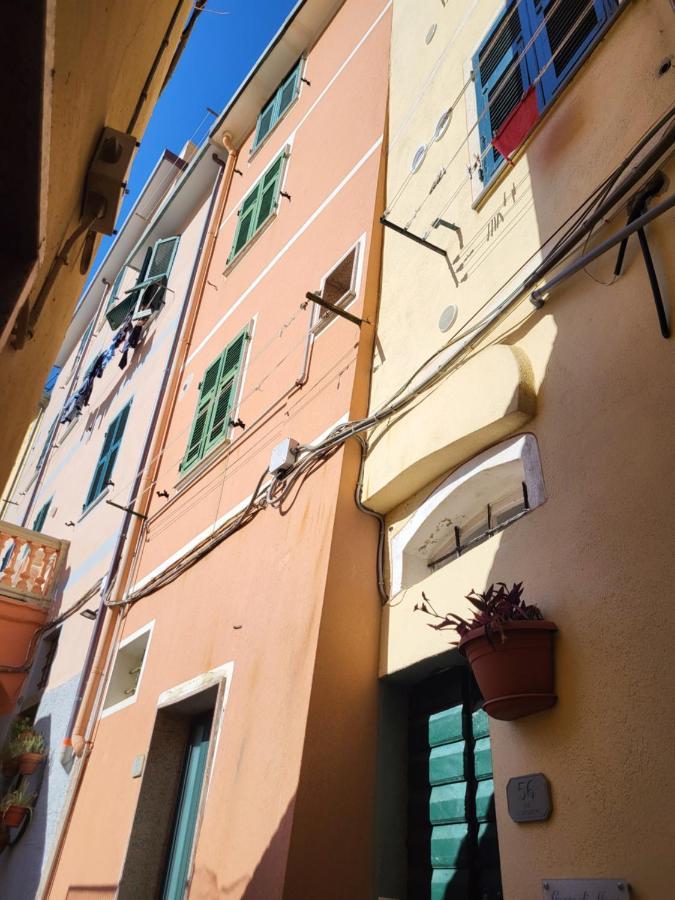 Apartment Casamare *