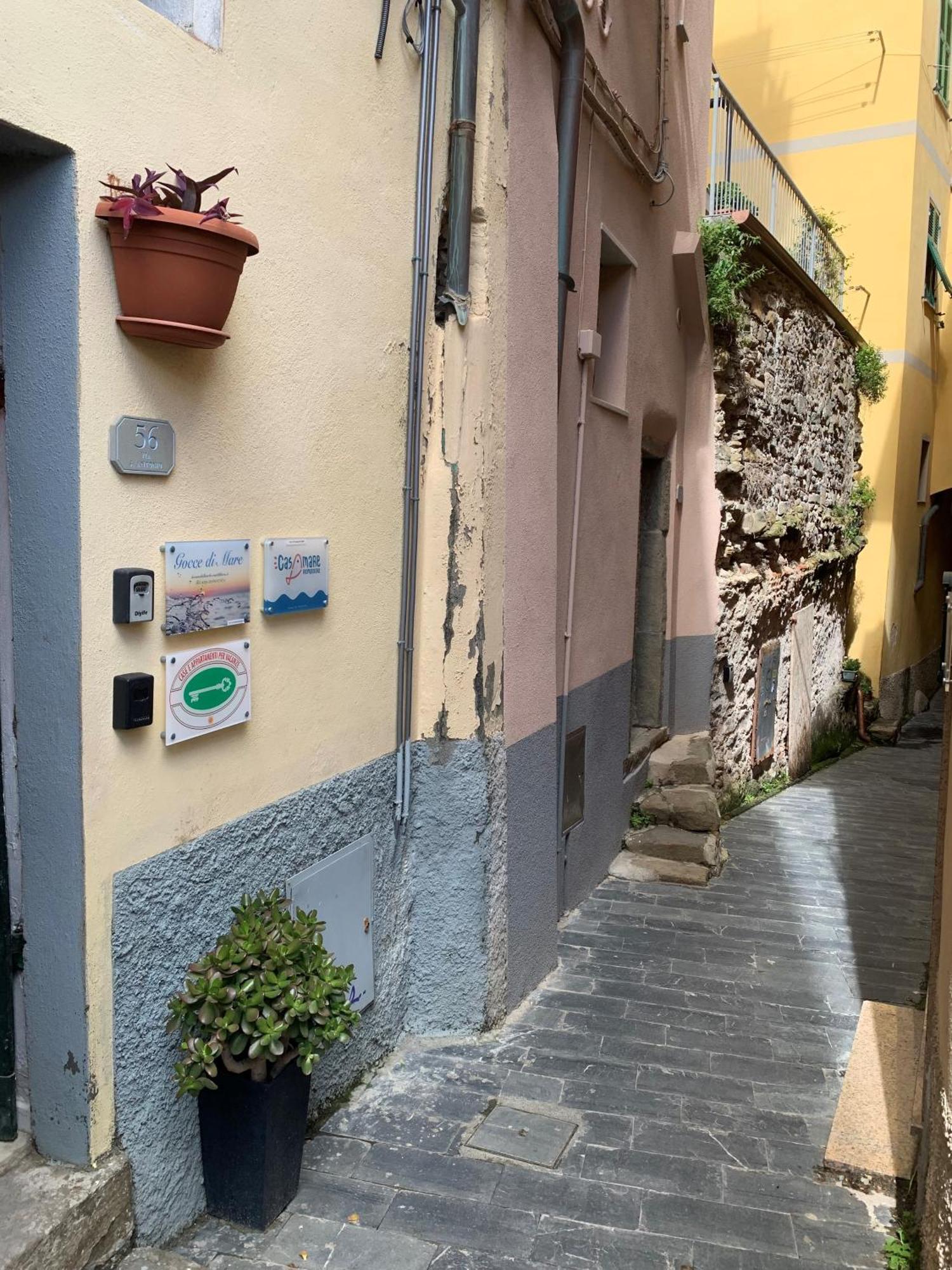 Apartment Casamare
